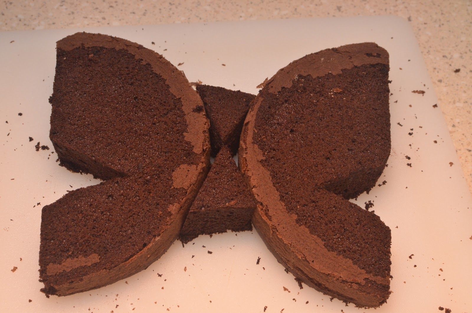 Family, Food, and Fun Butterfly Cake