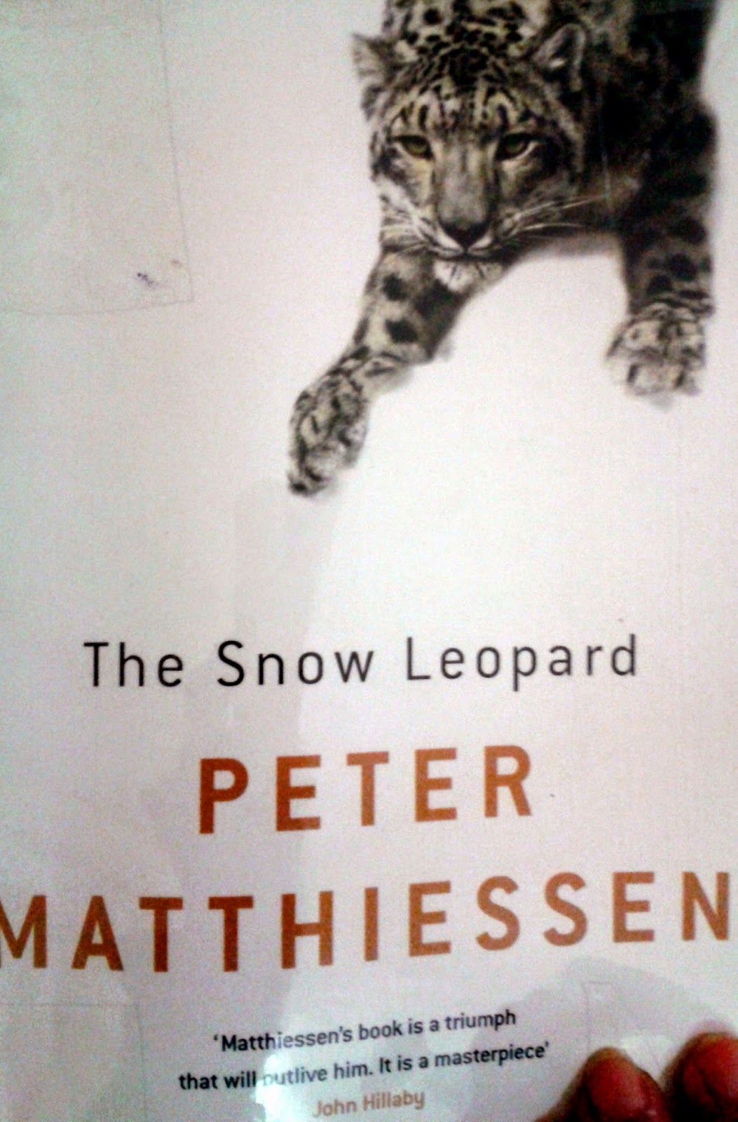 REVIEW THE SNOW LEOPARD by PETER MATTHIESSEN Comfortably Numb