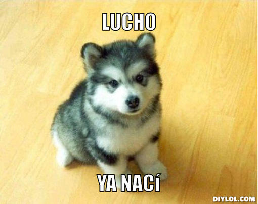 lucho? lucho?
