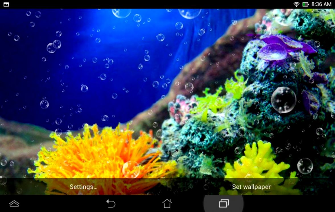 C Reef Live Wallpaper Android Apps on Google Play C Reef Live Wallpaper Android Apps on Google Play