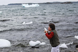 Licking an iceberg