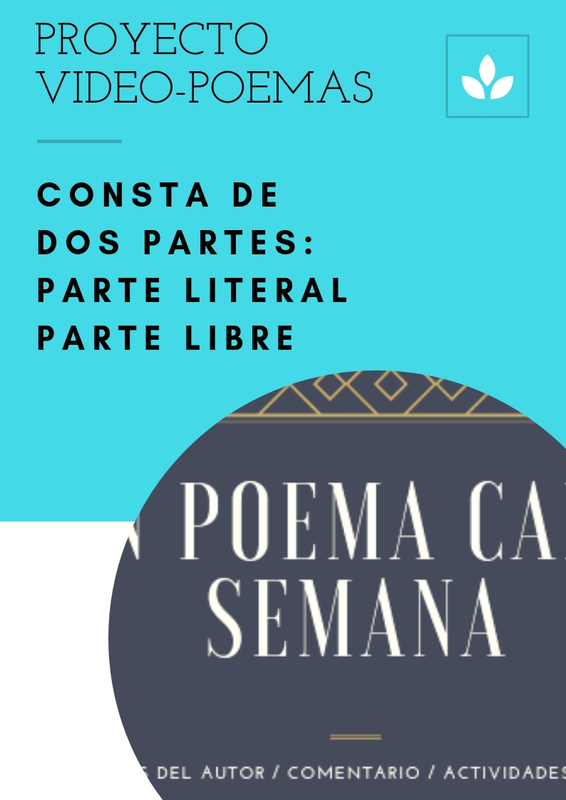 PROYECTO VIDEOPOEMAS