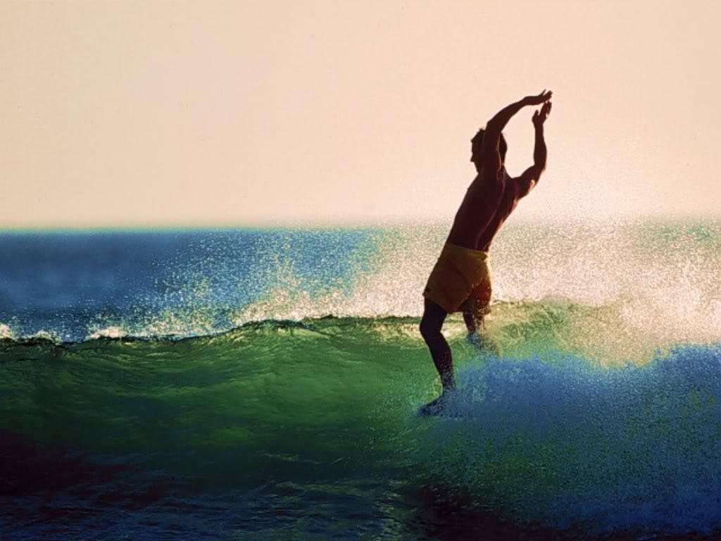 define quiver define quiver