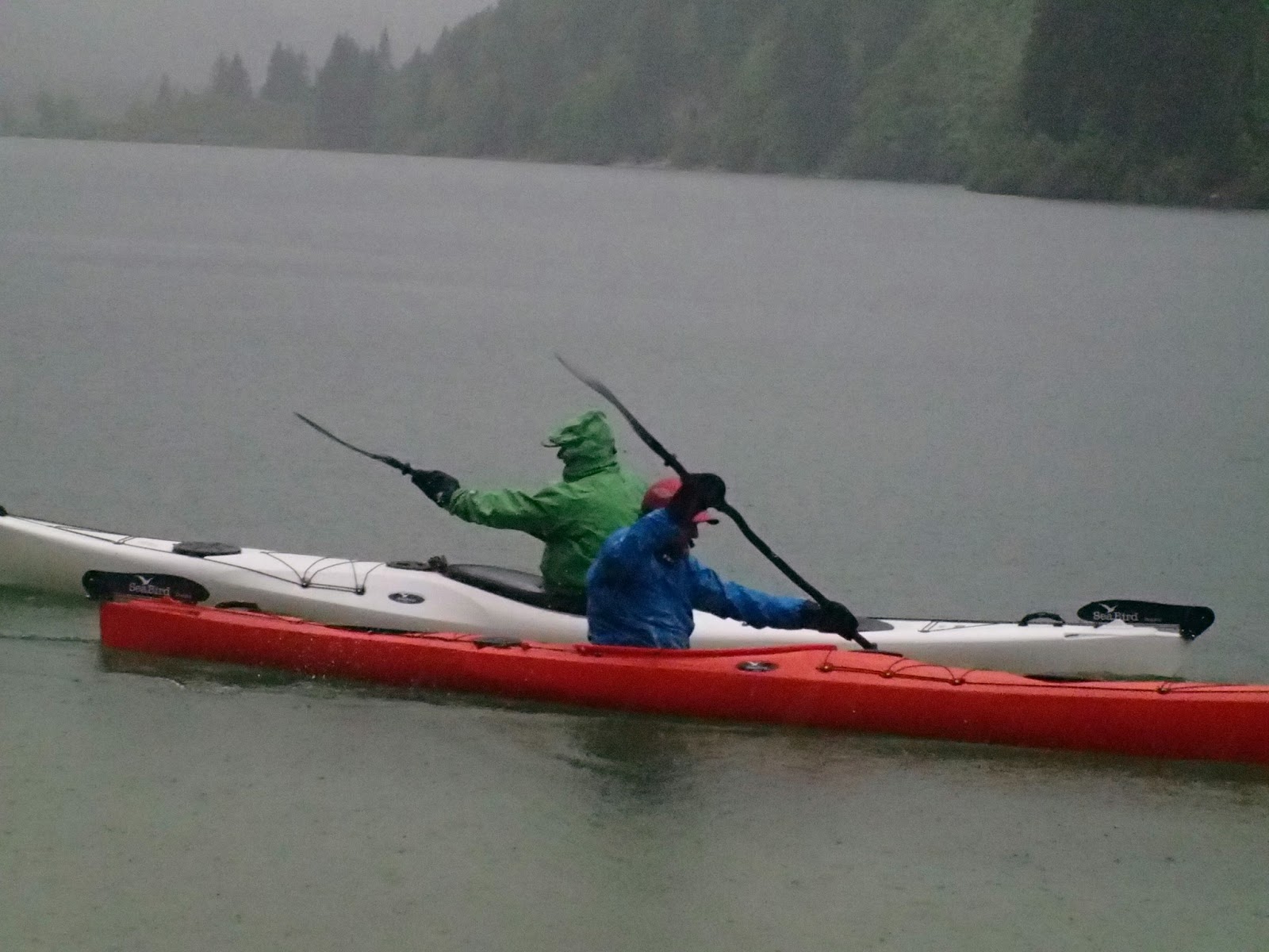 TEAM Sea Bird Expedition HV & Victory HV (IT,EN)