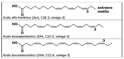 Acido Eicosapentaenoico