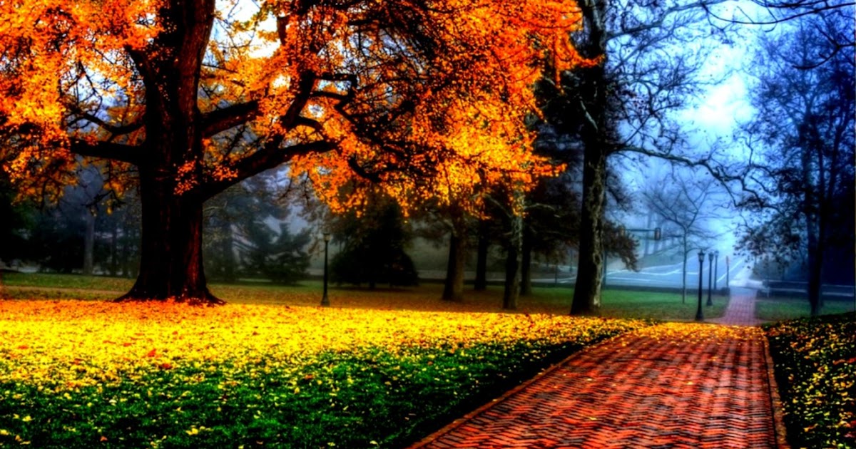 Beautiful Hd Wallpapers | HD Wallpapers Collection