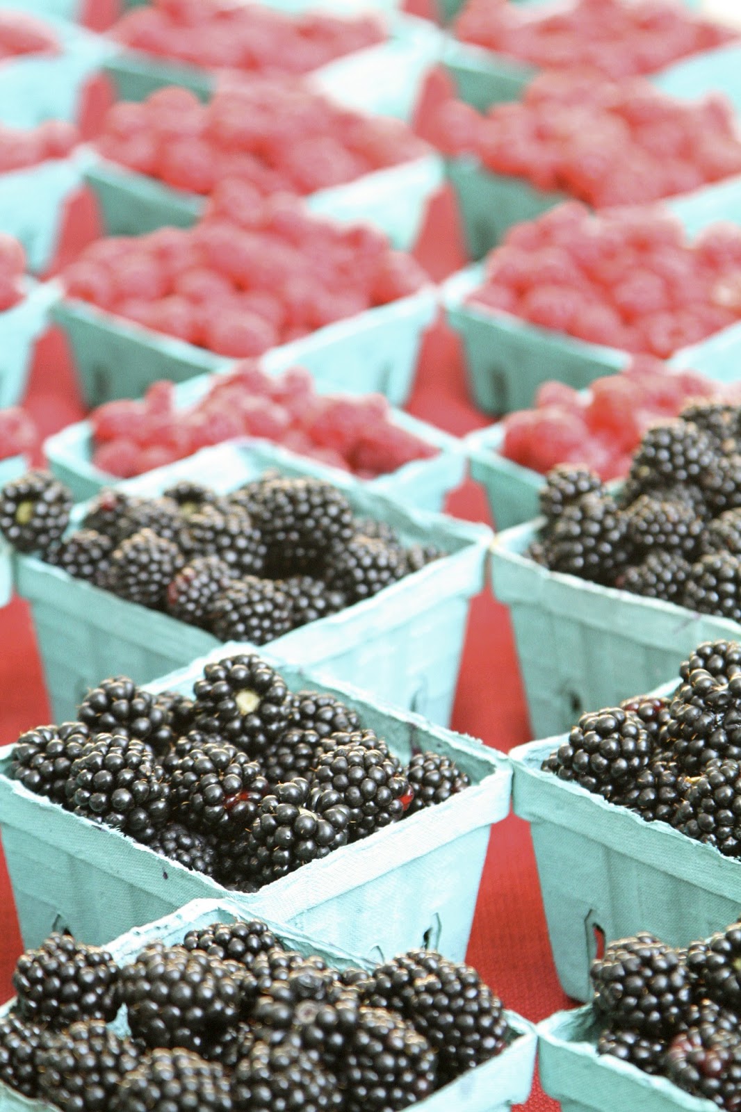 Hungry Cravings Oregon Berry Festival and a Guest Post