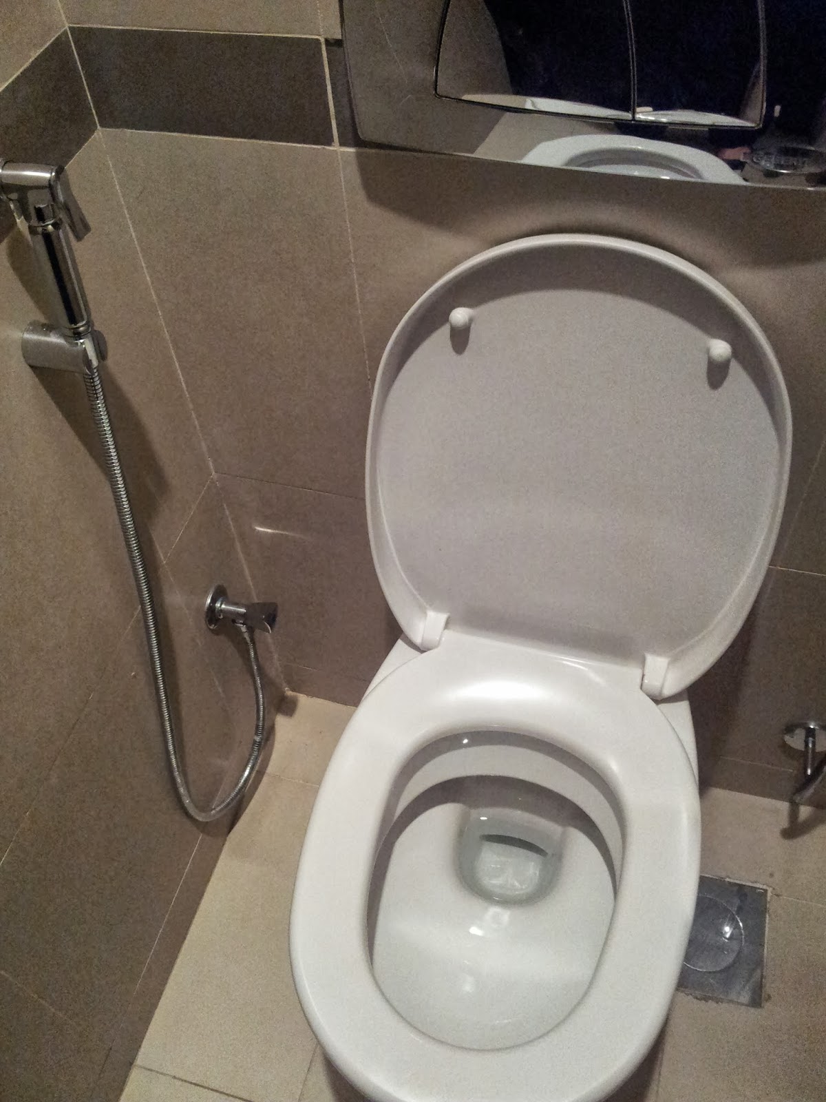 Butterfly in the oasis in the desert Toilets!!