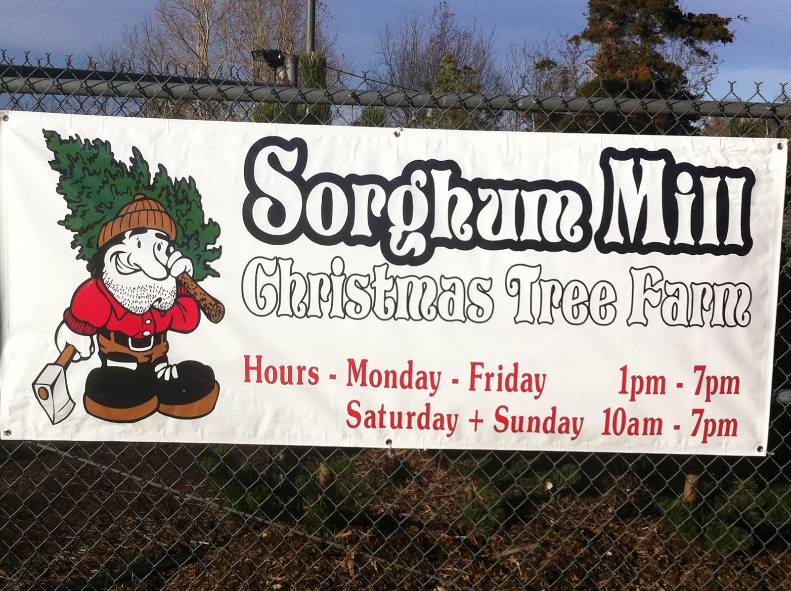 sorghum mill christmas tree farm in edmond sorghum mill christmas tree