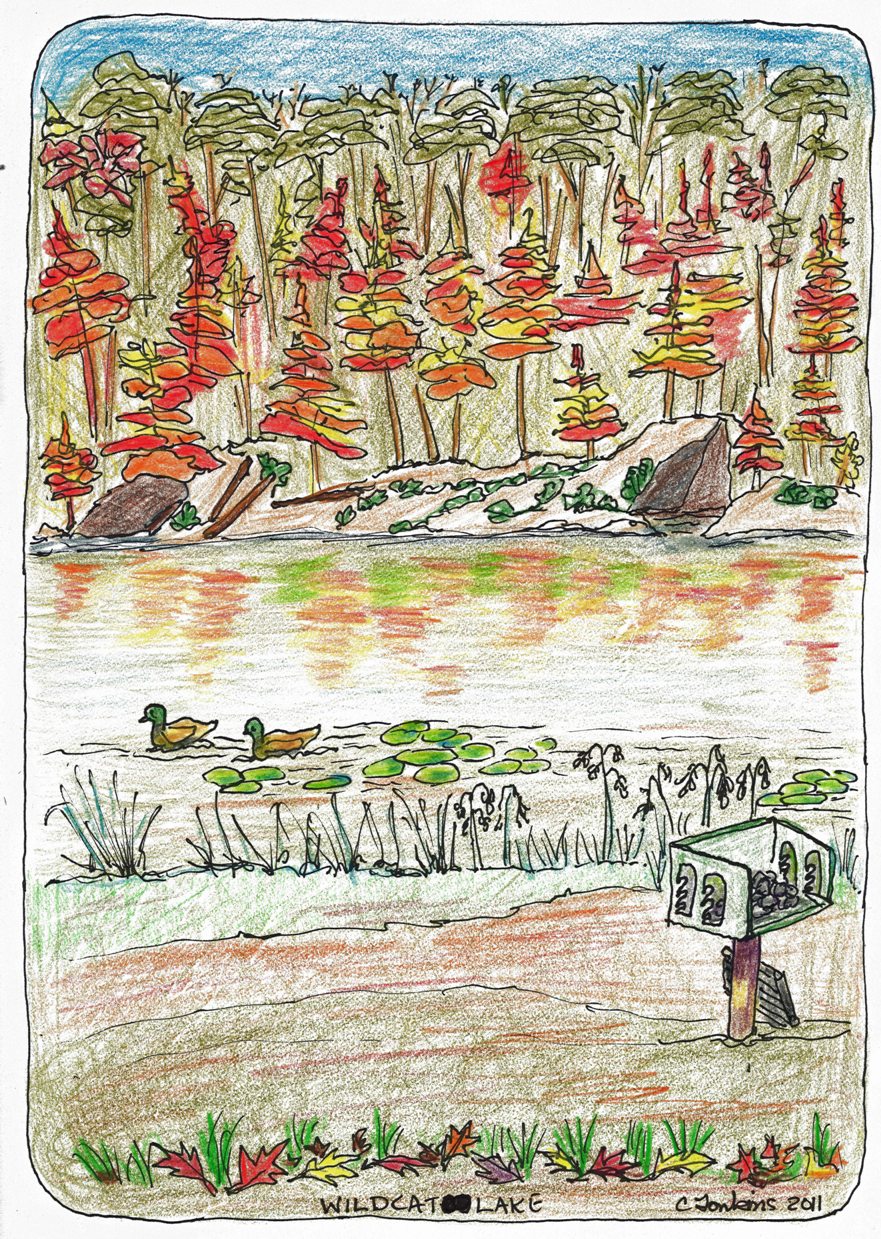 Cathie S Art And Stuff Wildcat Lake Banner Elk North Carolina