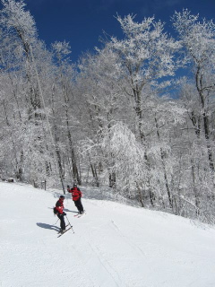 Ski Plattekill