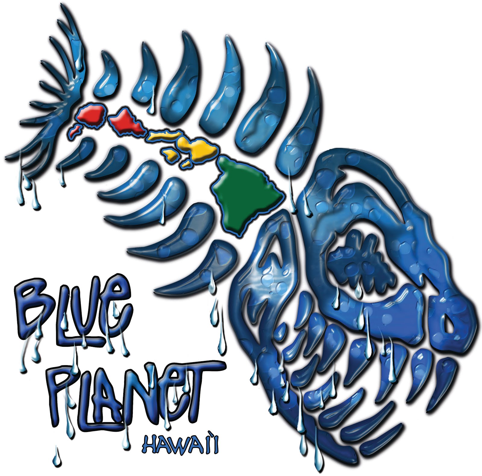 This Blog is brought to you by Blue Planet Surf