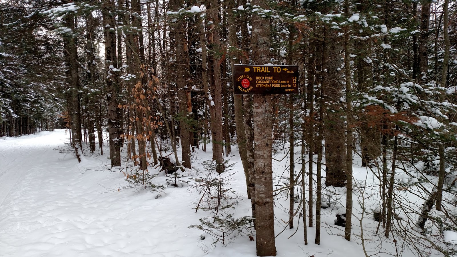 Off on Adventure XC Ski Wilson Pond Blue Ridge Wilderness 1/30/16