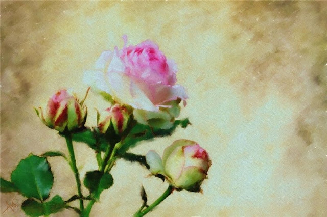 Акварельные цветы Alberto Guillen