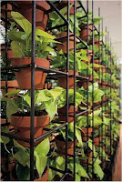 Home Gardening 101: Build the Perfect Garden - 3 Basic Garden Layouts