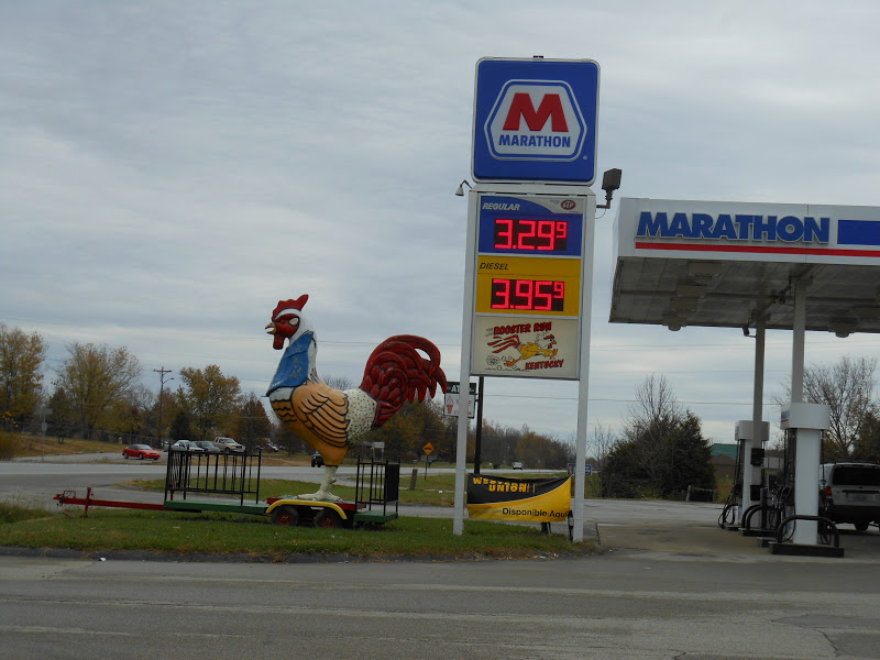 Kentucky Travels Rooster Run