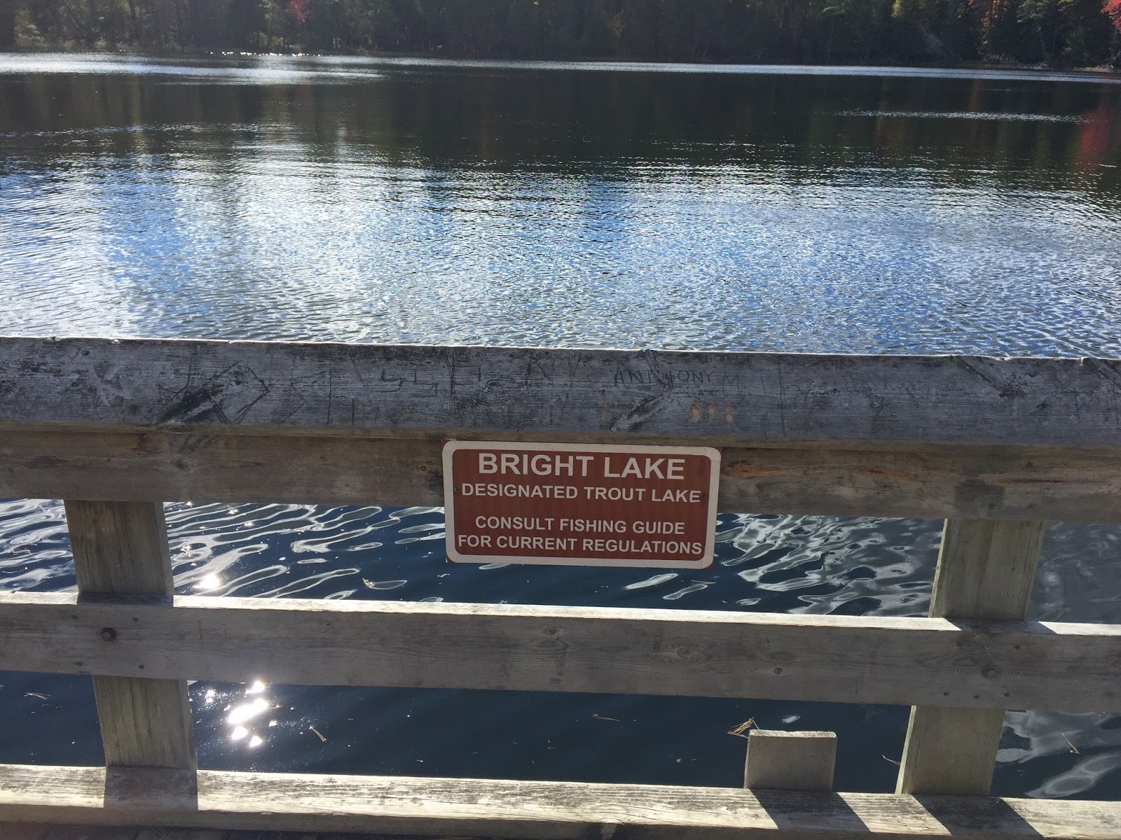 Travel Reviews & Information Grayling, Michigan Recreation within