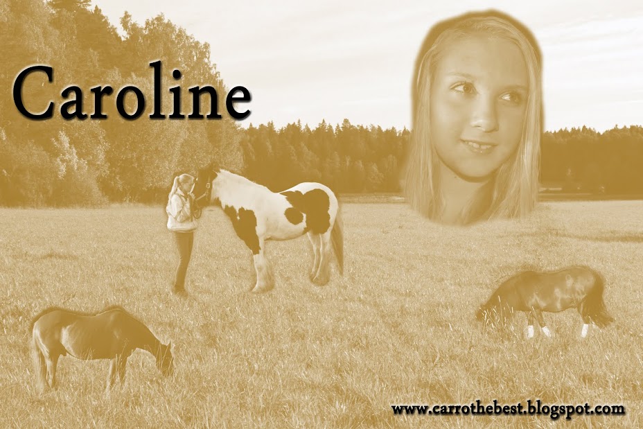 Carolines blogg ♥