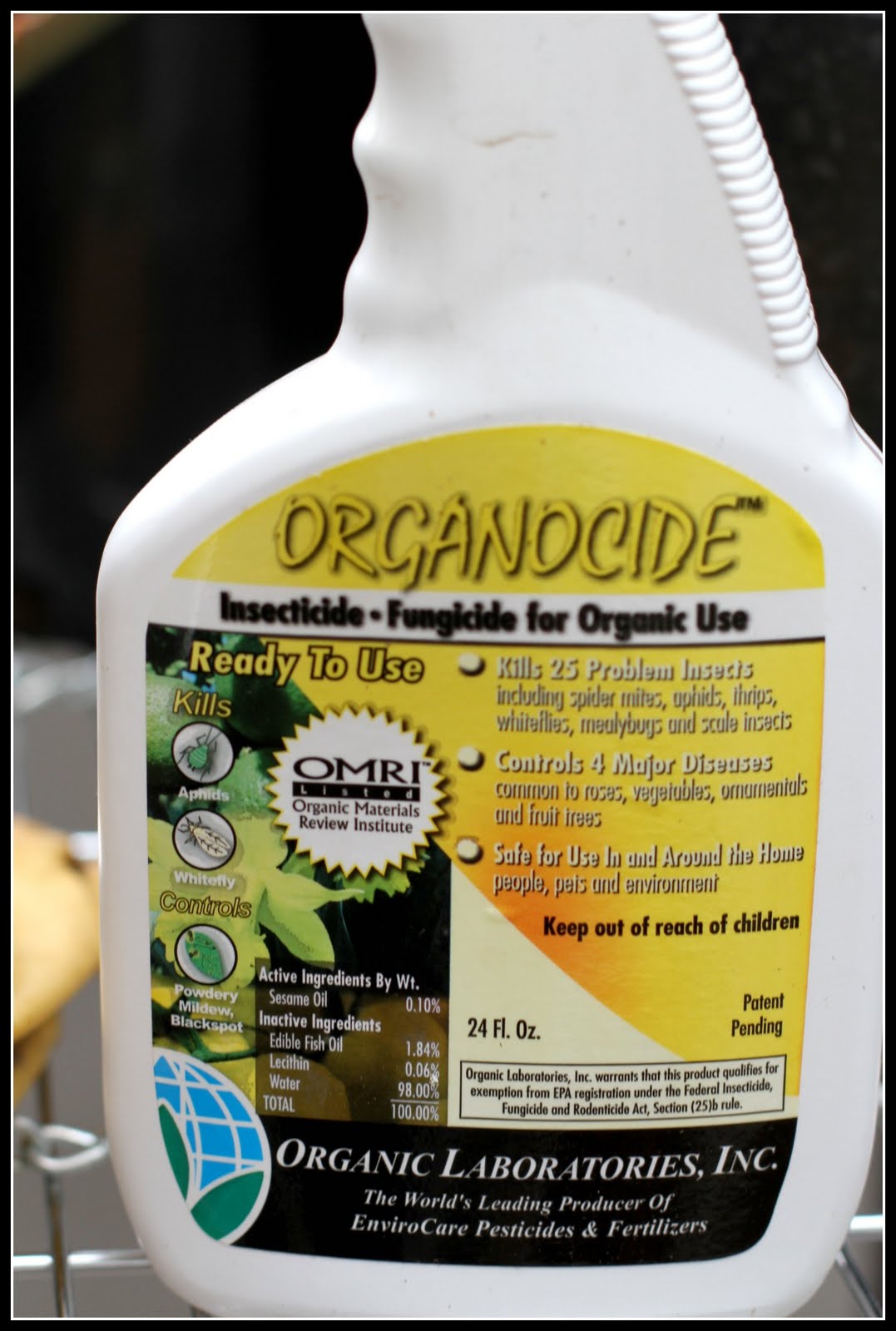 Aphids!! (Gesundheit) Desperate Gardener