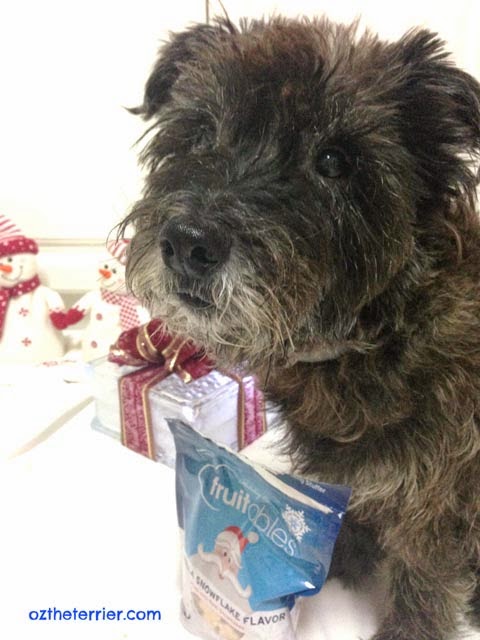 fruitables vanilla snowflake dog treats