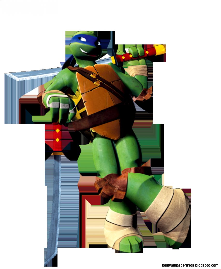 Teenage Mutant Ninja Turtles The turtles Teenage Mutant Ninja Turtles The turtles