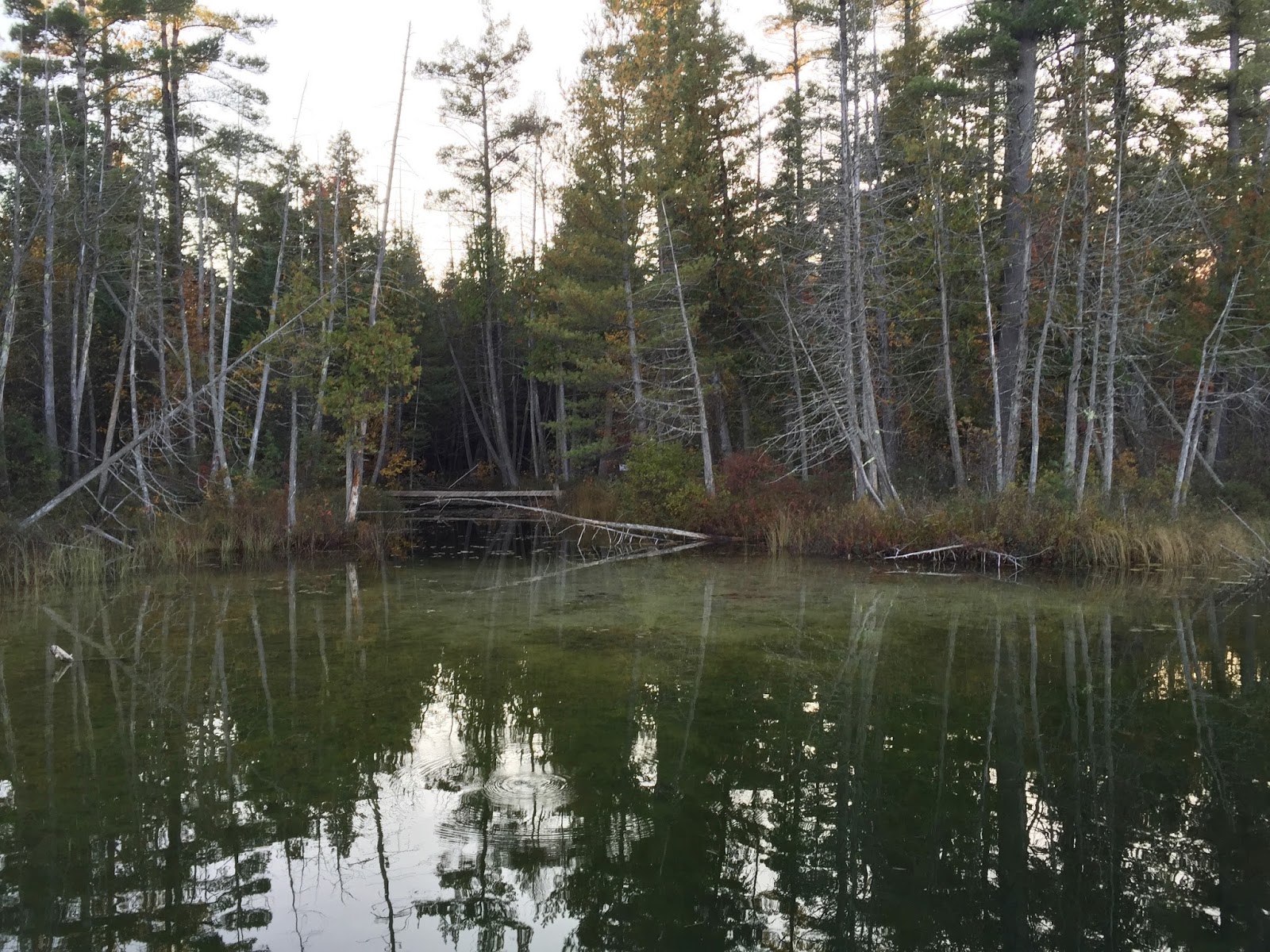 Travel Reviews & Information Grayling, Michigan Recreation within