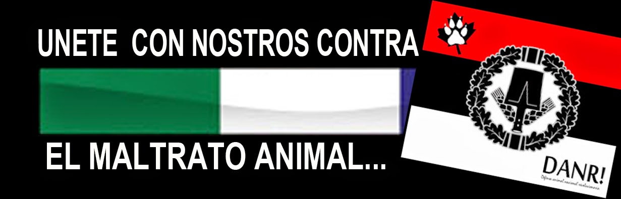 CONTRA EL MALTRATO ANIMAL