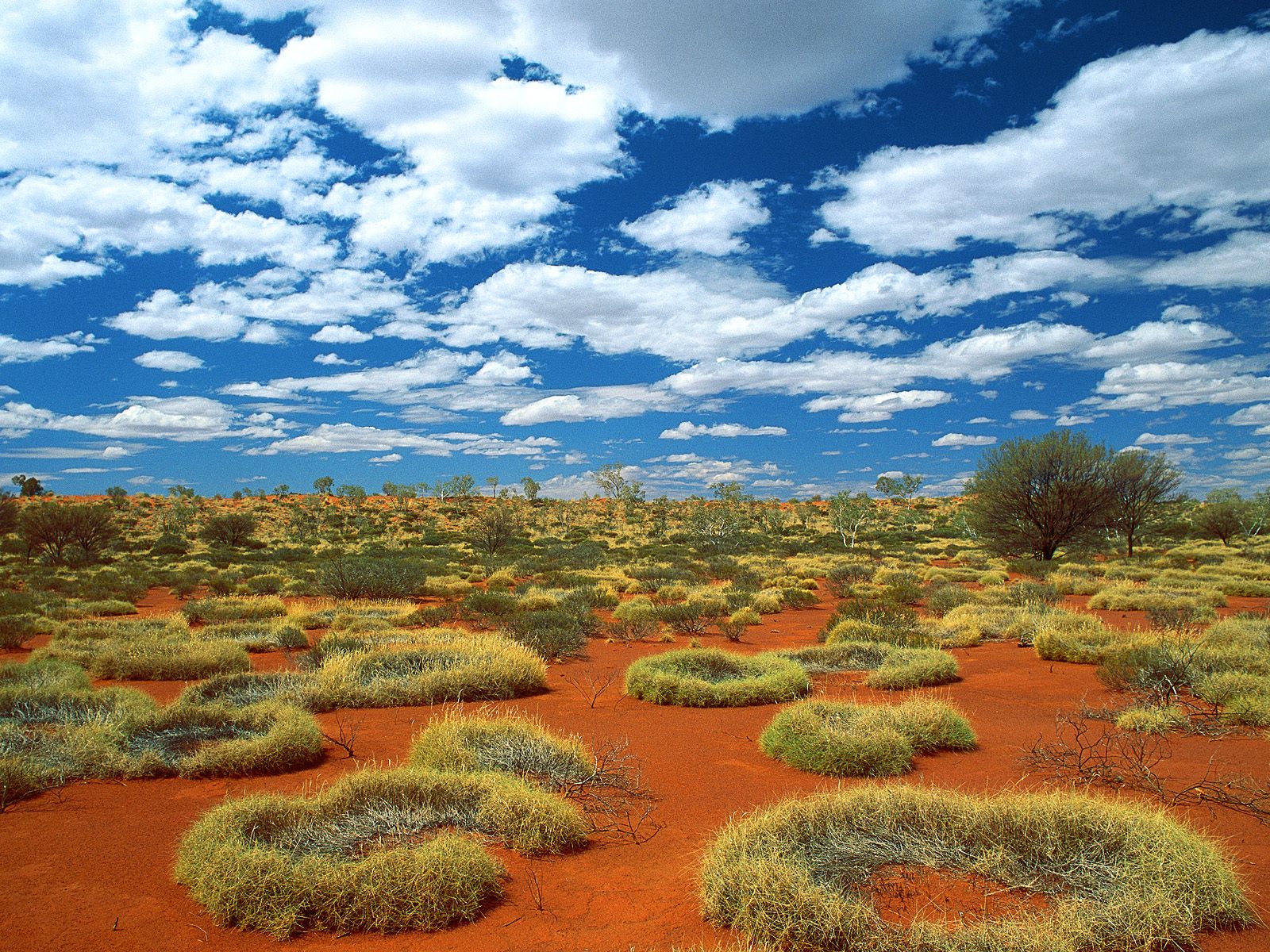 external image Australia+il+Deserto.jpg