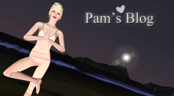 Pam's Blog