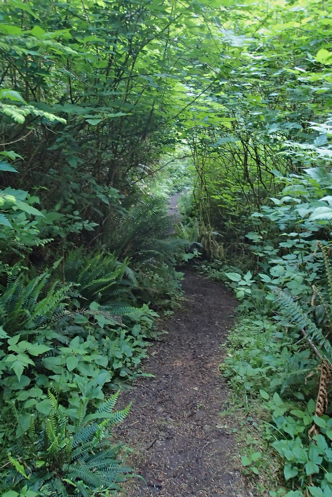 Casing Oregon A Winter Walk in Yachats Ya'Xaik Trail and the
