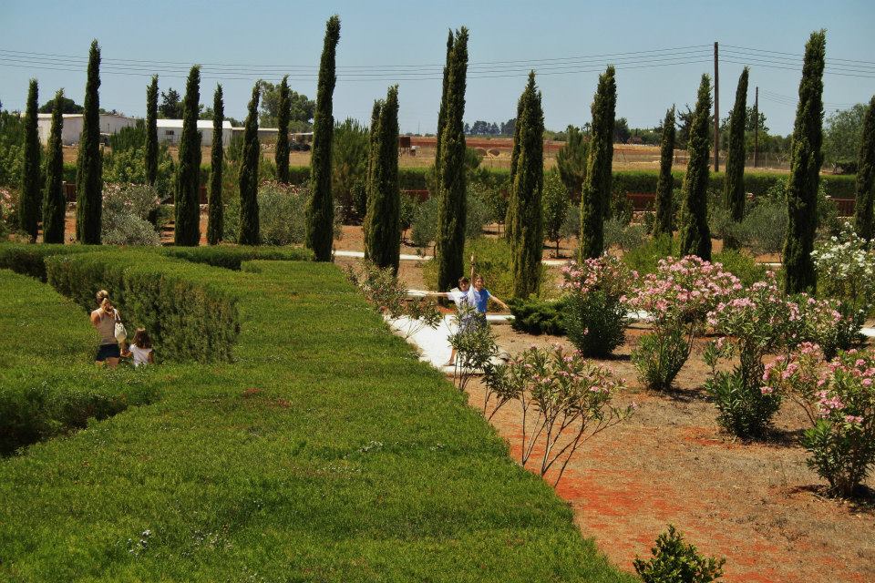 Kids have Fun in Cyprus Cyherbia Herb Gardens and Maze
