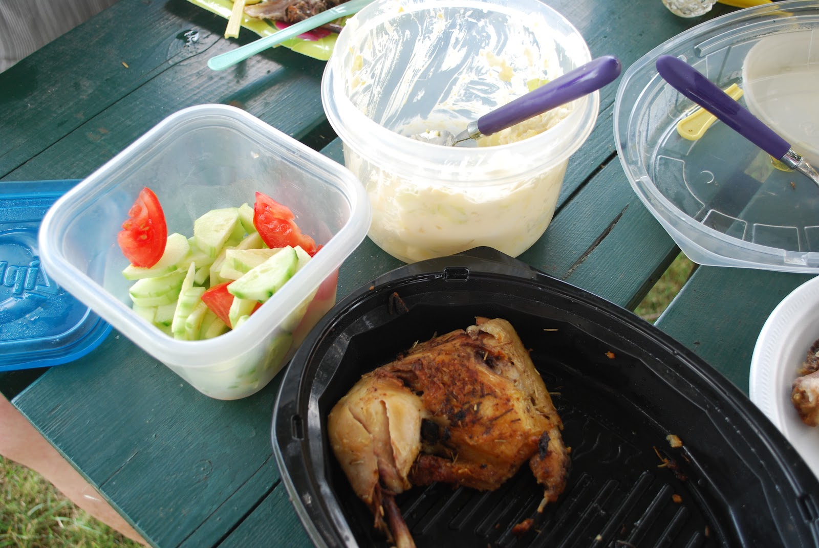 granpalovestocook ENJOYING MY PICNIC LUNCH