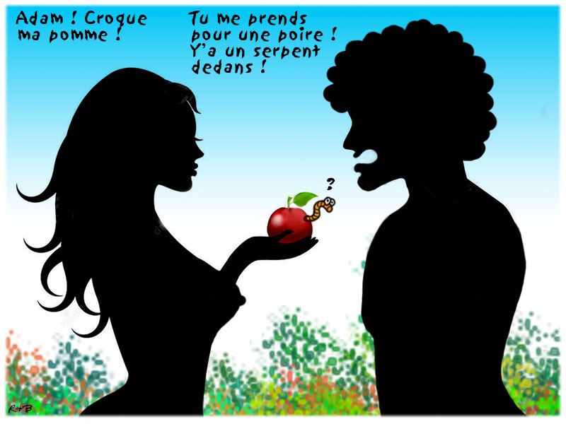 Afficher l'image d'origine