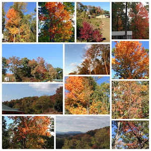 The Fall colors around the farm