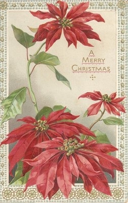 Antiche Immagini Di Natale.7 Cartoline Di Natale Per Giardinieri Un Giardino In Diretta