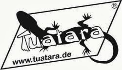 Tuatara