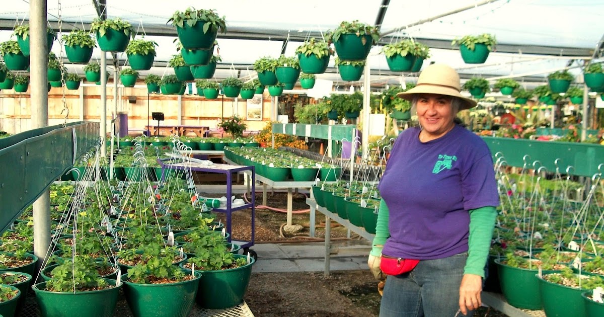 The Flower Bin New Greens!