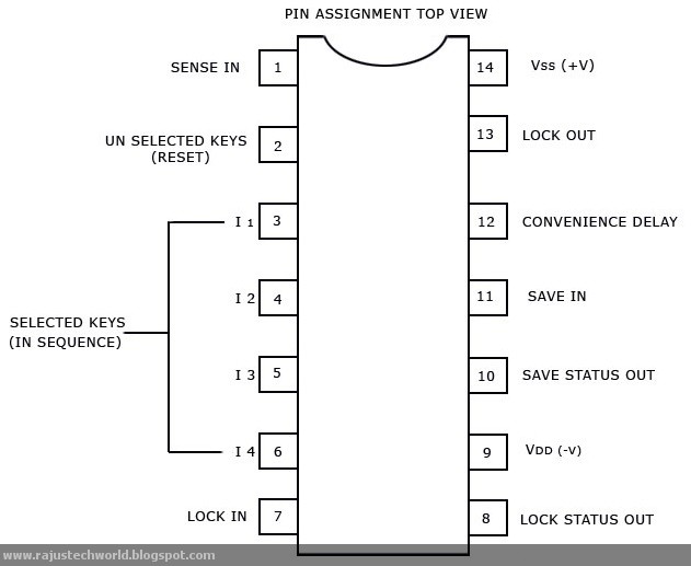 Ic Pin Details
