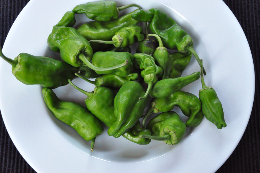 Stealth Cooking Grilled Padron Peppers