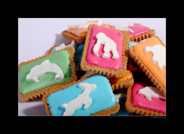 Goldfish Have Eyelashes