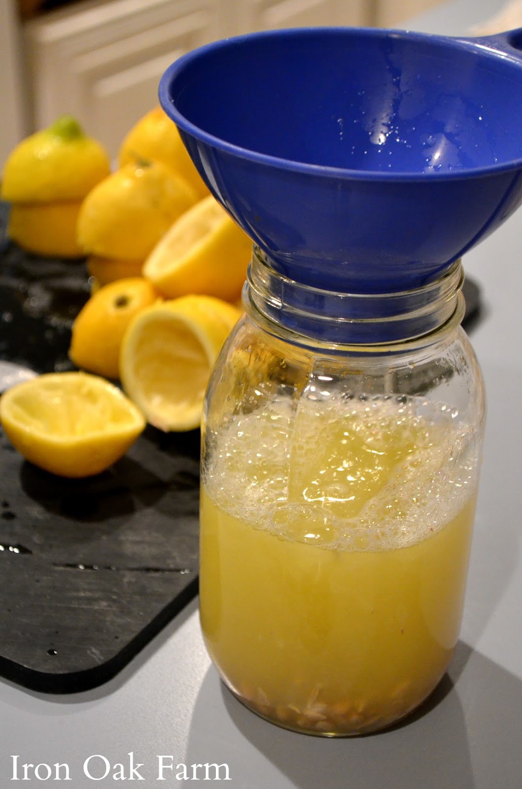 Iron Oak Farm Strawberry Lemonade Concentrate