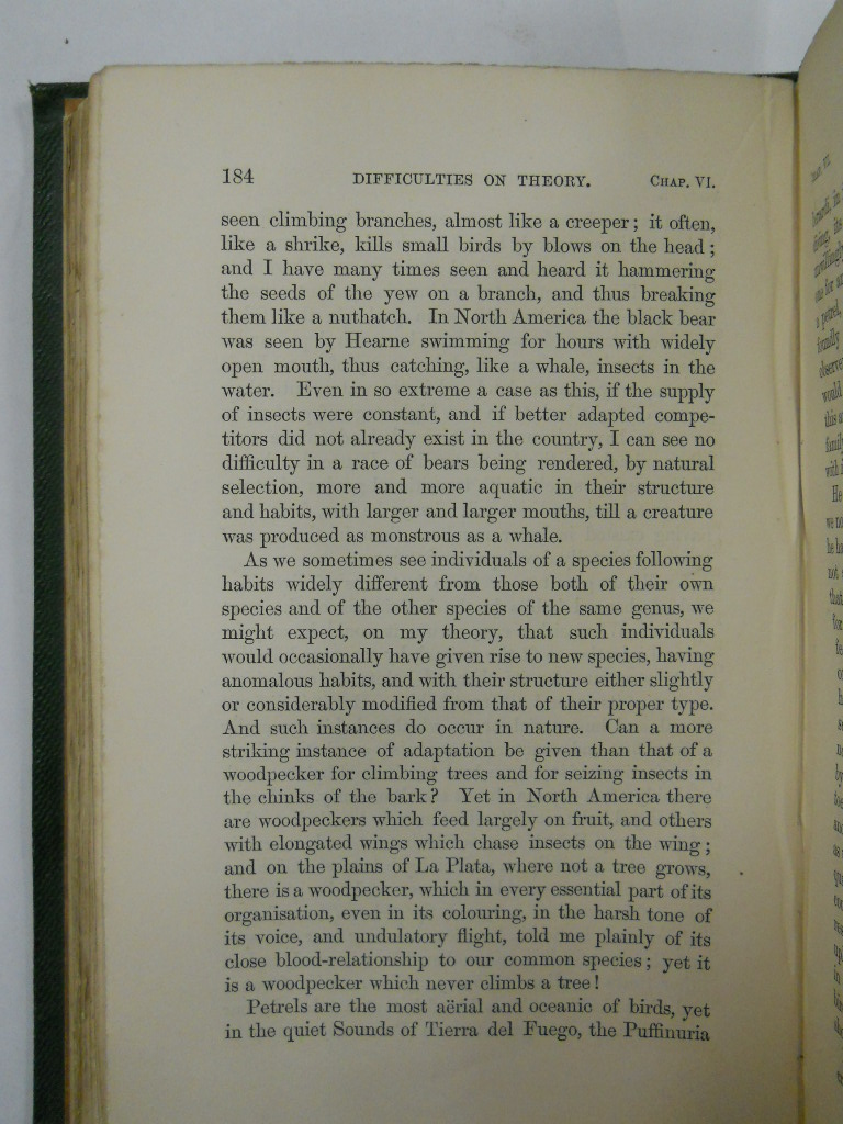 Charles darwin biography essay