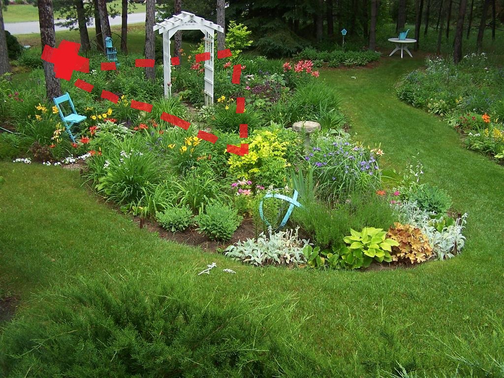 Future Plants By Randy Stewart Privet