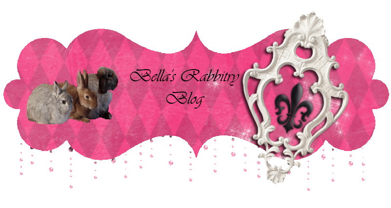 Bella's Rabbitry Blog