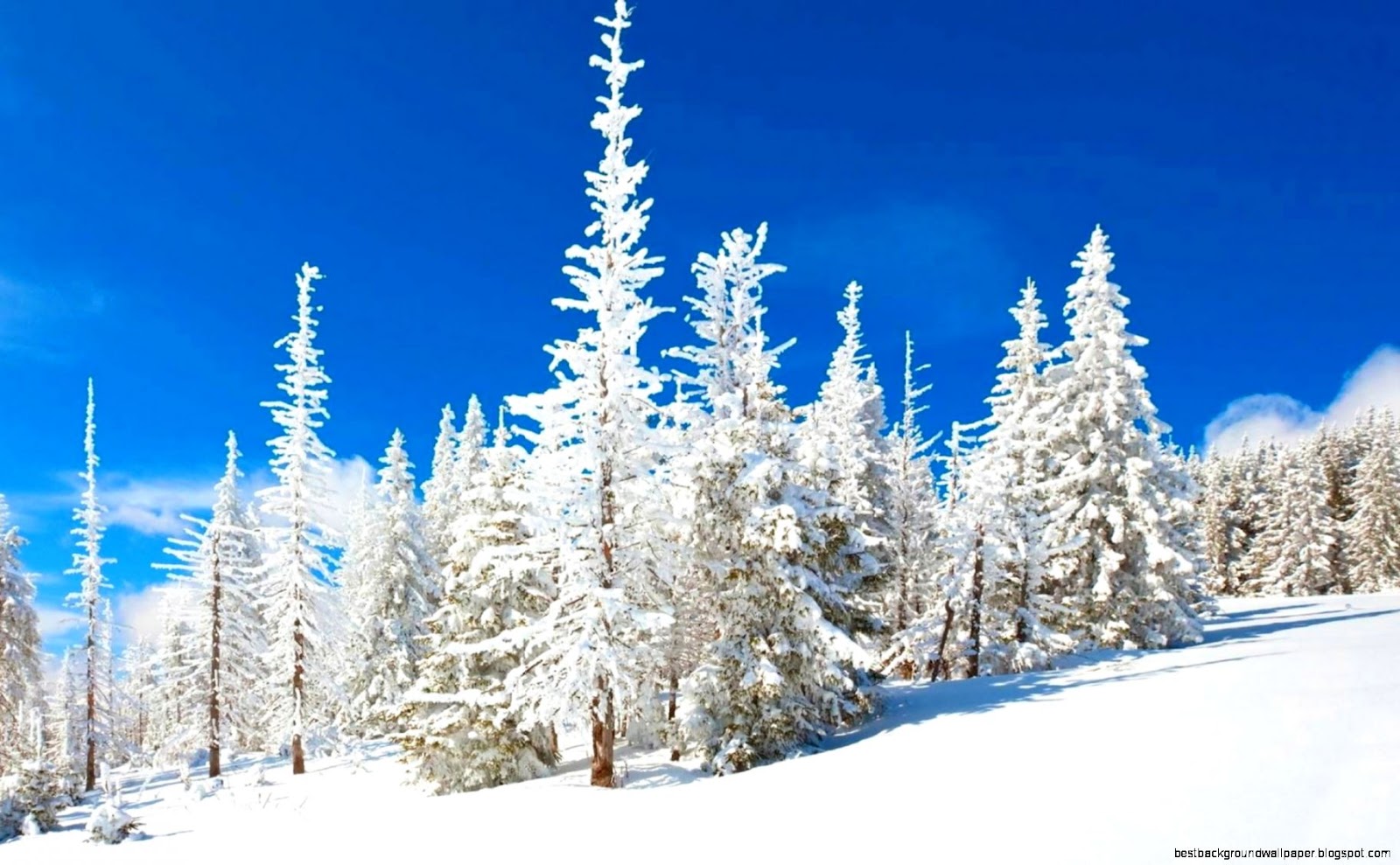 Snow Forest Wallpaper Desktop Snow Forest Wallpaper Desktop