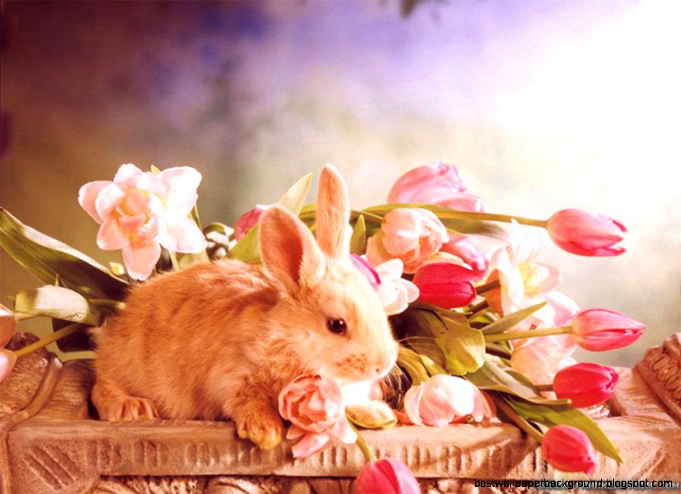 Beautiful Easter wallpapers Crazy Frankenstein Beautiful Easter wallpapers Crazy Frankenstein