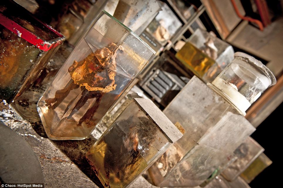 Deserted Places Horror Labs The abandoned Anderlecht Veterinary School