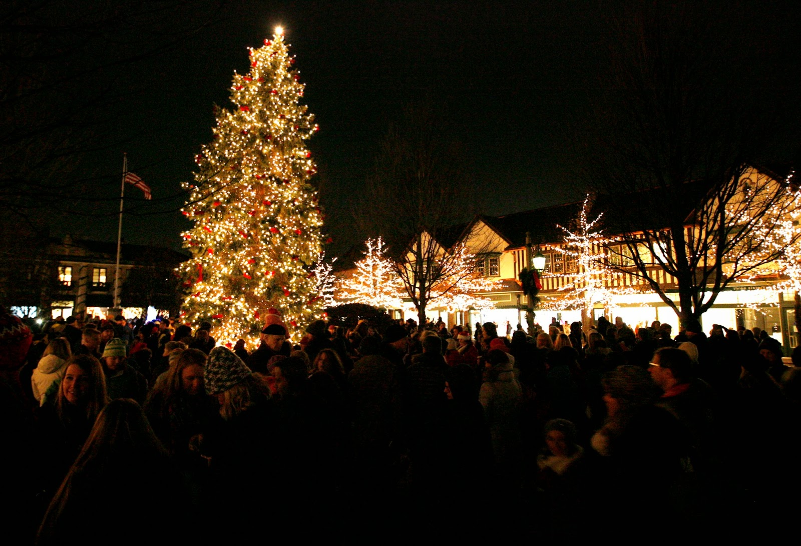 Mark Kodiak Ukena Lake Forest 31st Annual Tree Lighting Ceremony