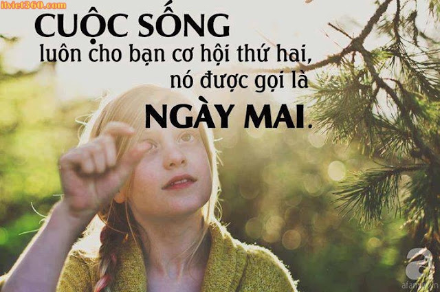 Hình ảnh ý nghĩa. Ý nghĩa cuộc sống - Danh ngôn qua hình ảnh đẹp