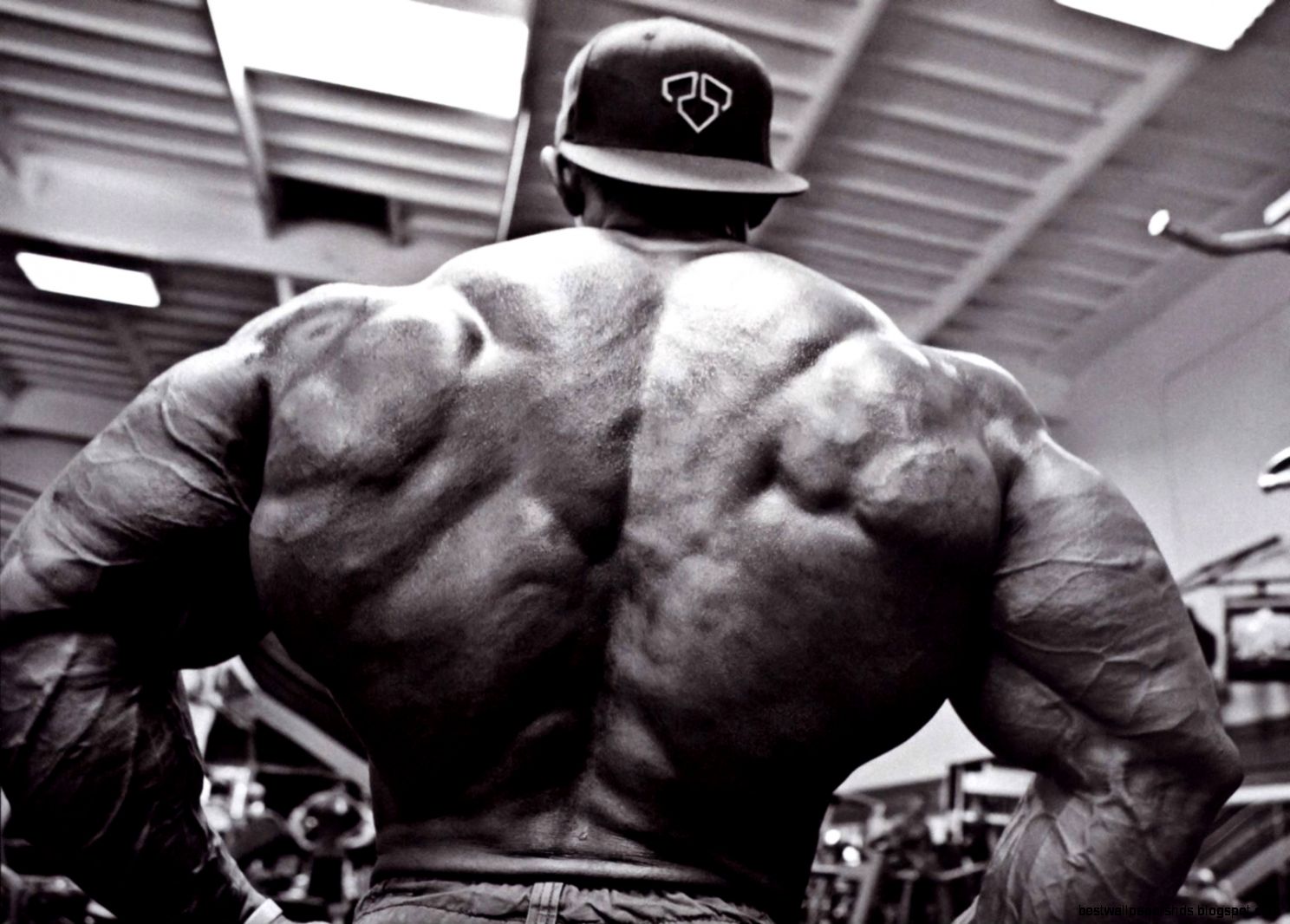 15 Bodybuilding HD Wallpapers Backgrounds Wallpaper Abyss 15 Bodybuilding HD Wallpapers Backgrounds Wallpaper Abyss